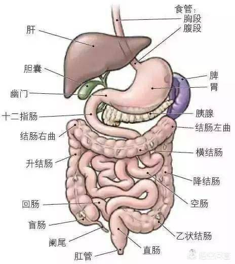 疑難雜癥