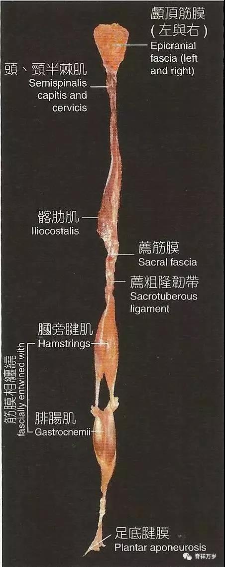 微信圖片_20190124150104